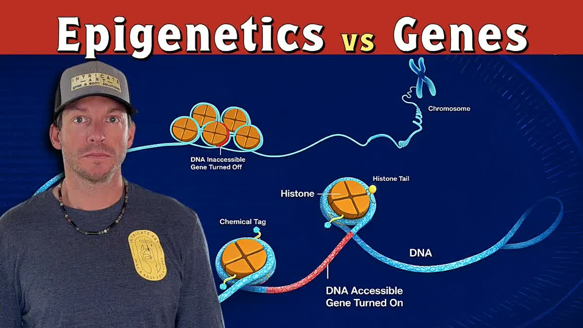 Why Nutrition, Supplementation, and Peptides Matter for Your Epigenome
