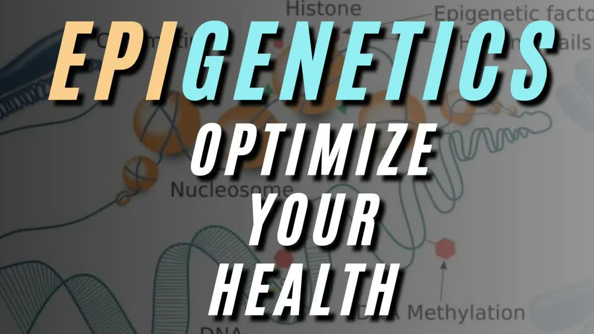 Beyond the Double Helix: Epigenetics Rules