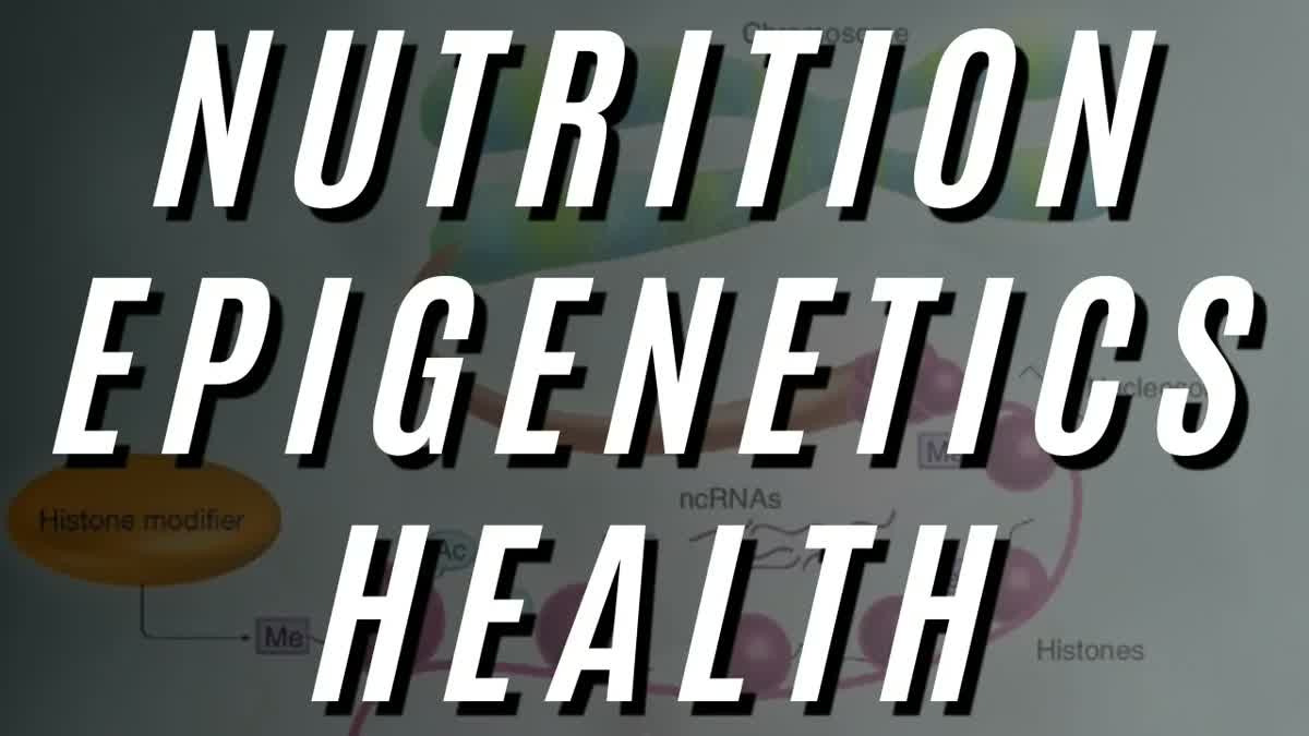 Unlocking Health Through Epigenetic Balance