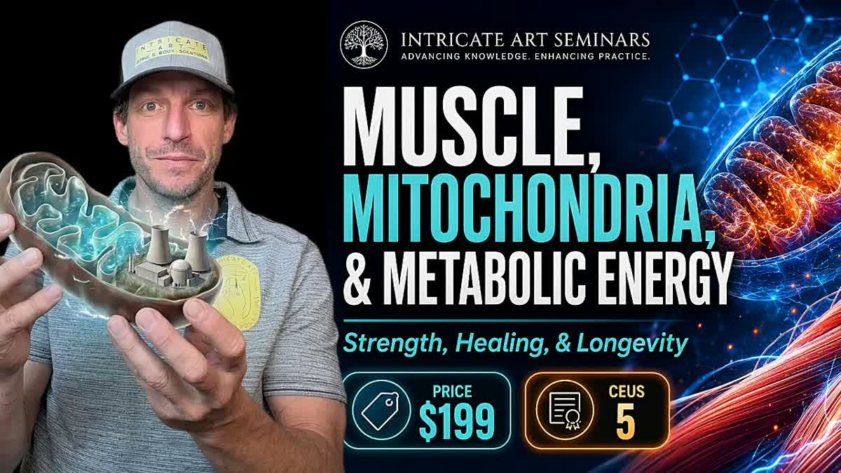 Unlocking Muscle Power Through Mitochondria
